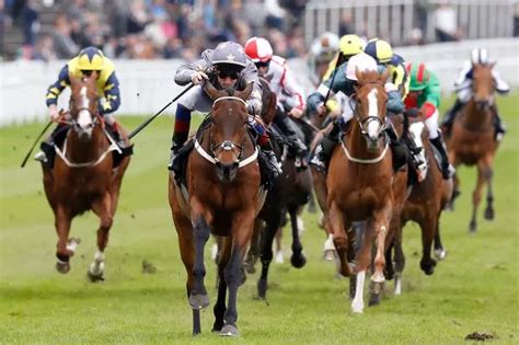 Todays Best Betting Picks for Chester Races .